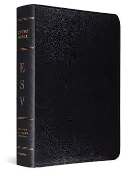 BIBLE  Bonded Leather ESV study edition