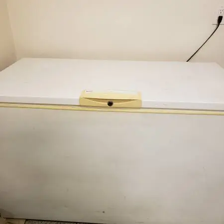 29 cu/ft CHEST FREEZER