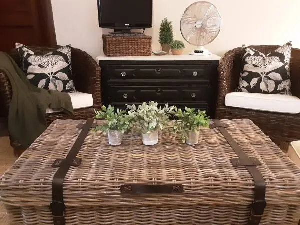 Rattan Coffee Table/Storage Trunk