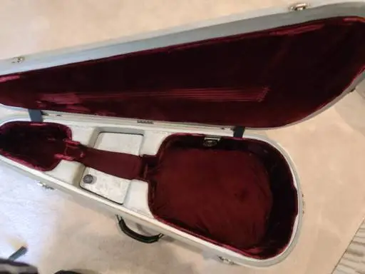 Mark Leaf Guitar Case