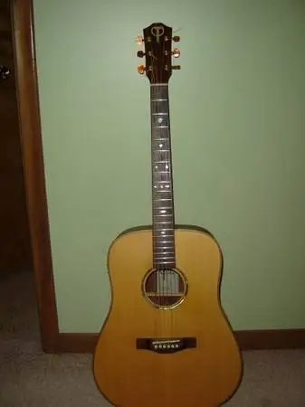 Teton STS150ENT solid top dreadnought w/Road Runner gig bag