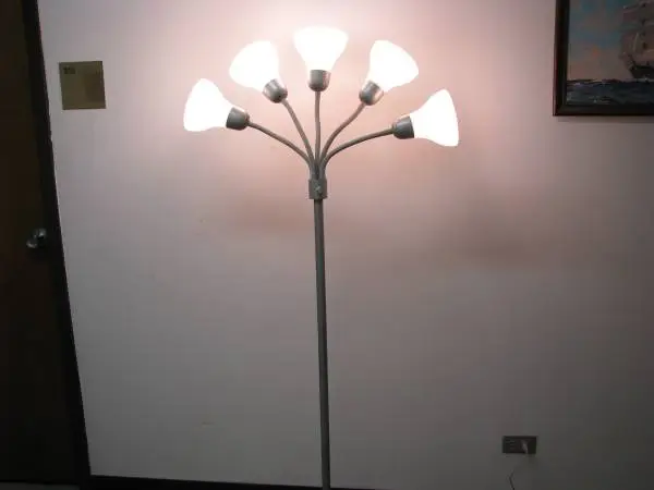 FLOOR LAMP - (5 Bulb) Gooseneck Arms w/ Shades