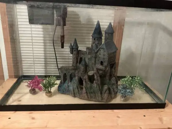 Aquarium with stand