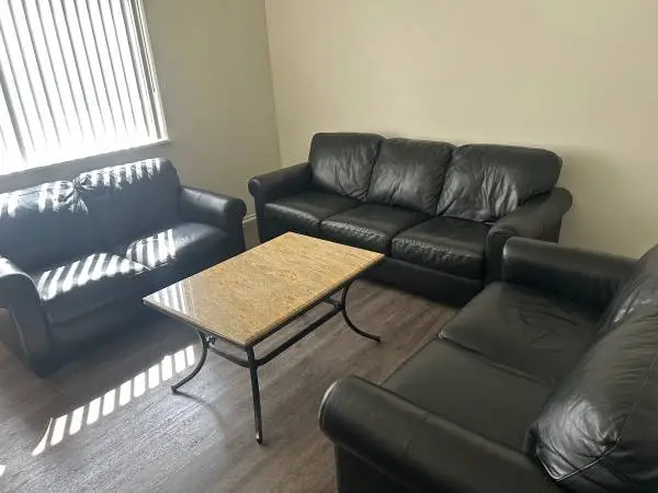 3 piece leather couch set