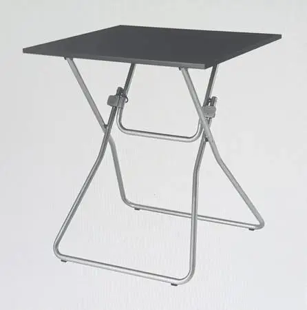 FOLDING TABLE ~ IKEA Gunde