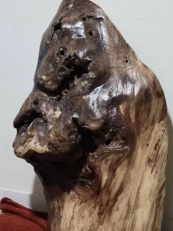 Unique One of a Kind White Oak Burl