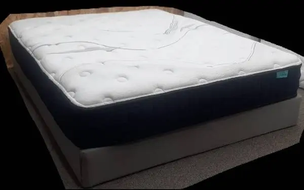 Queen Eurotop mattress set-Free Delivery-Professionally Cleaned