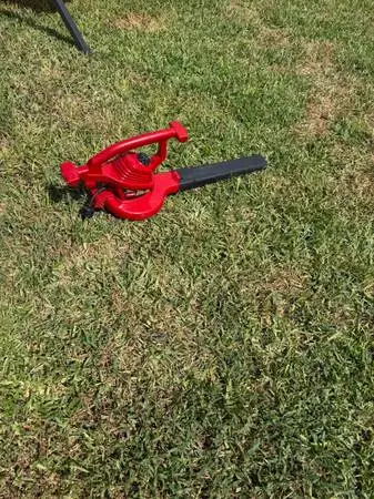 Toro Electric Ultra Blower