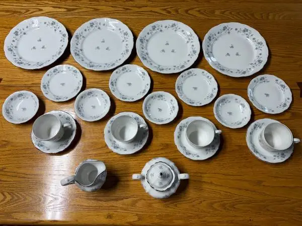 22-pc. Set Vintage Dishes Dinnerware, Johann Haviland, Bavaria Germany