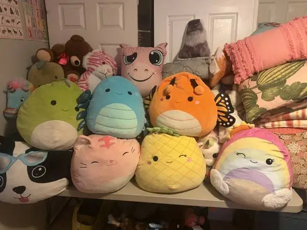 Giant Squeeze Melow Pillows