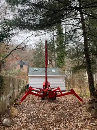 Tree removal service