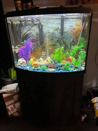 40 gallon fish tank with matching stand
