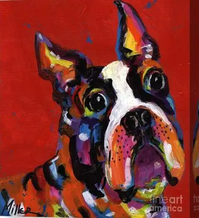Boston Terrier acrylic on canvas by Tracy Miller