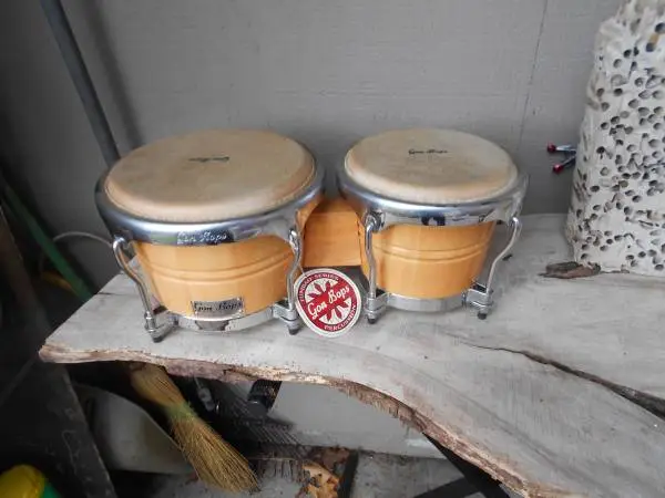 Gon Bops Tumbao Pro Bongo, Natural Stain