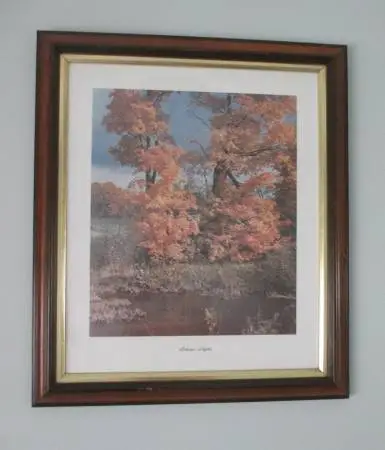 AUTUMN MAPLES 22 X 25 -