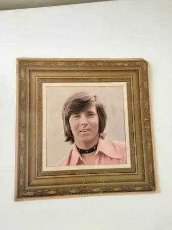 Vintage Bobby Sherman portrait