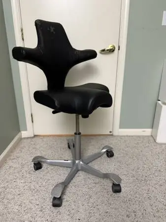 Hag Capisco Ergonomic Chair w/carpet caster upgrade (Authentic!)