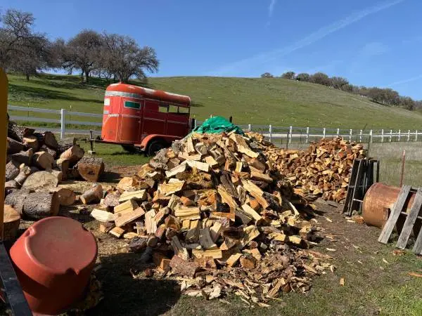 Mixed maple, pine split firewood