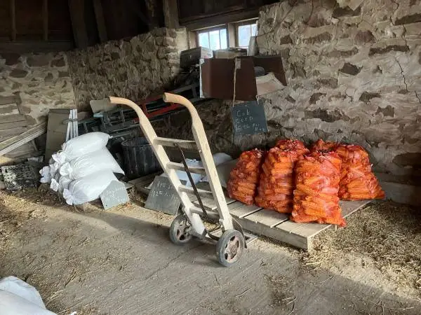 Animal feed