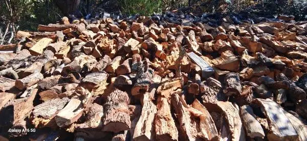 PECAN FIREWOOD