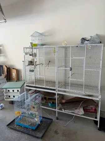 Cages