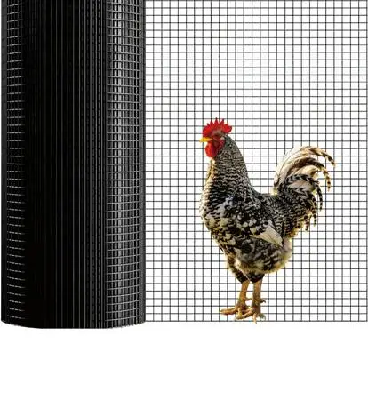 Chicken wire screen, double cylinder deadbolts and/or plexiglass sheet