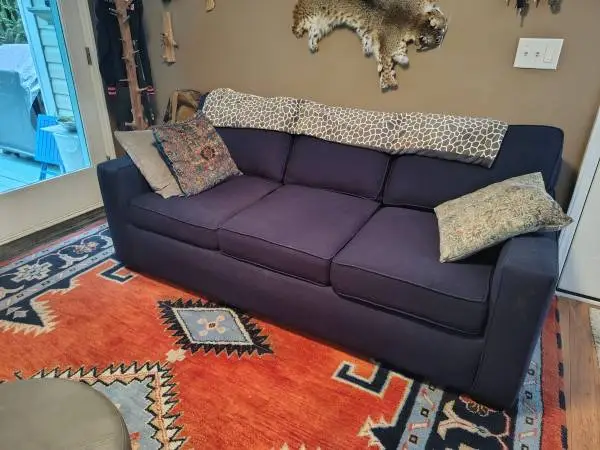 Sleeper sofa