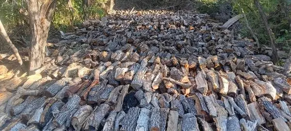 Post Oak Firewood
