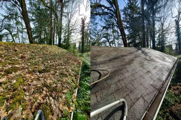 Mossy Roof? Expert Roof & Gutter Cleaning in Portland & Vancouver