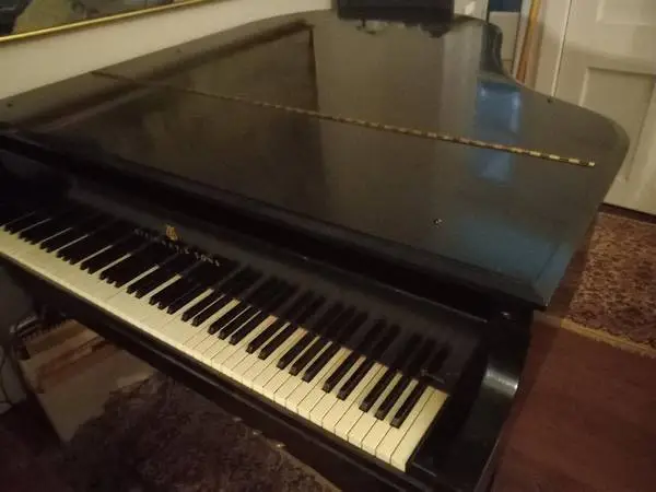 Steinway M Baby Grand Piano