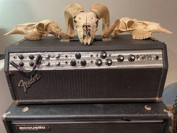 Vintage Modded Fender PA135 Orange/Sovtek/Ampeg/SUNN FS/FT