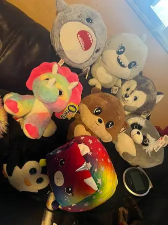 Plush Toys