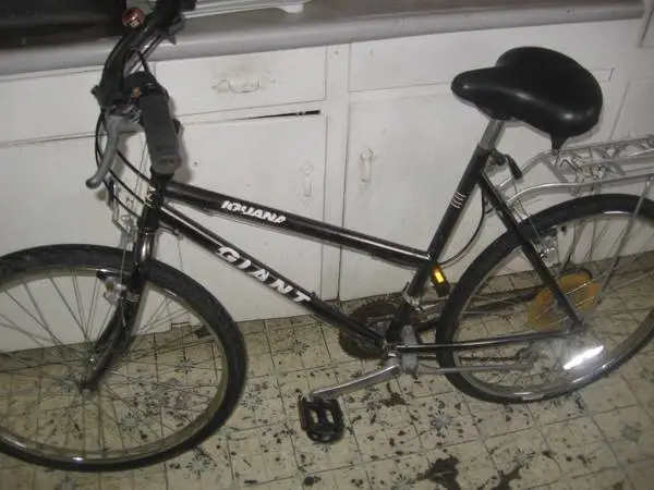 2 GIANT BIKES--Hybrid Womens W/Free Helmet $120--Mens Giant ATX $300