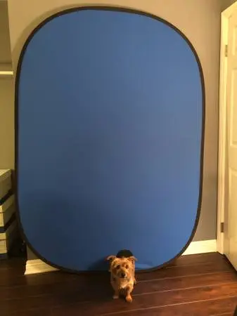 Fotodiox Collapsible Blue/Green Screen Backdrop – Great for Zoom, Streaming &