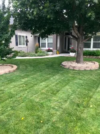 Weekly Lawn Care and Maintenance 🌳🌱🌲 Gallop Lawn Care