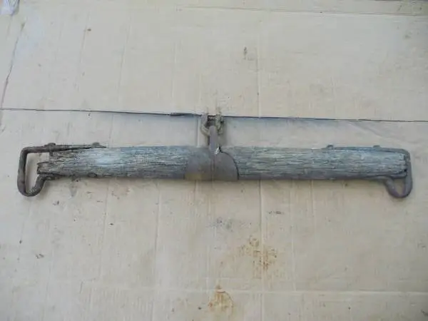 Weathered single tree