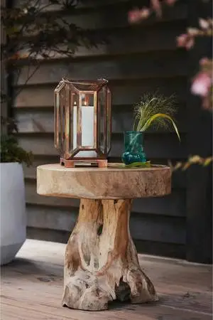 Large live edge all wood table/stand