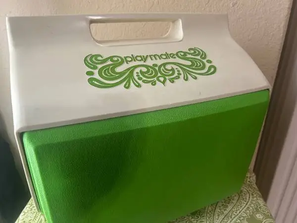 1971 groovy Igloo Cooler