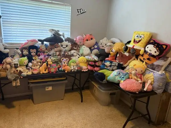 Moving everything most go Stuff Animals & Pillows
