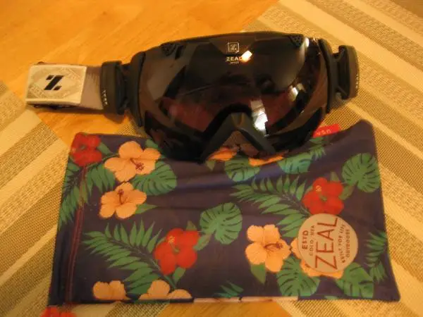 Zeal Goggles