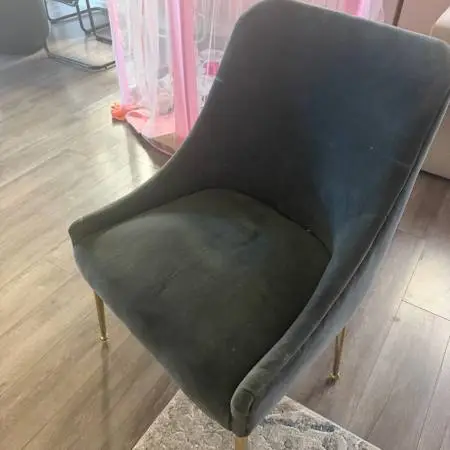 Anthropologie Elowen velvet dining chairs $200 each