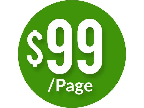 🎯 $99/Page - Professional Web Design - All Industries & Business Size