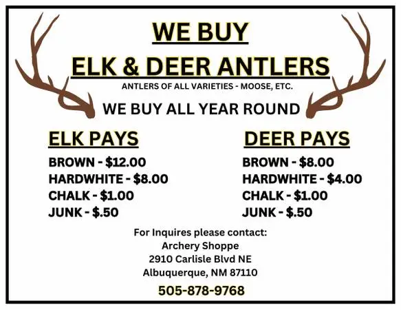 We Buy Elk and Deer Antlers