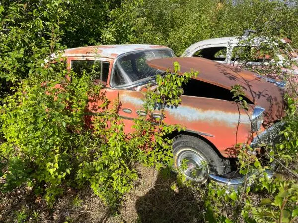 1956 Buick Special