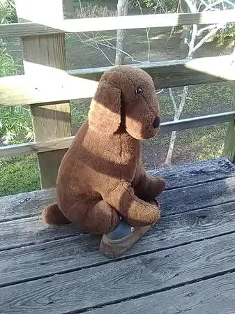 COLLECTABLE stuffed dolls/animals