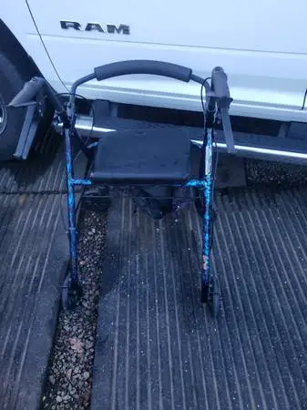 Walker with the compartment under the seat