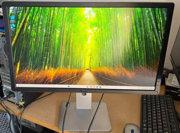 2 identical 24 inch Dell  monitors