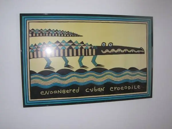LARGE  FRAMED PICTURE FROM  CUBA--make offer