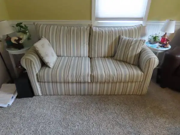 Sleeper Loveseat & Leather cigar chair