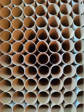 Empty cardboard tubes from toilet paper rolls, crackers, cookies, butt